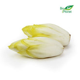 Sammelpackung (kg) - frischer BIO-Chicorée (ca. 25 kg)